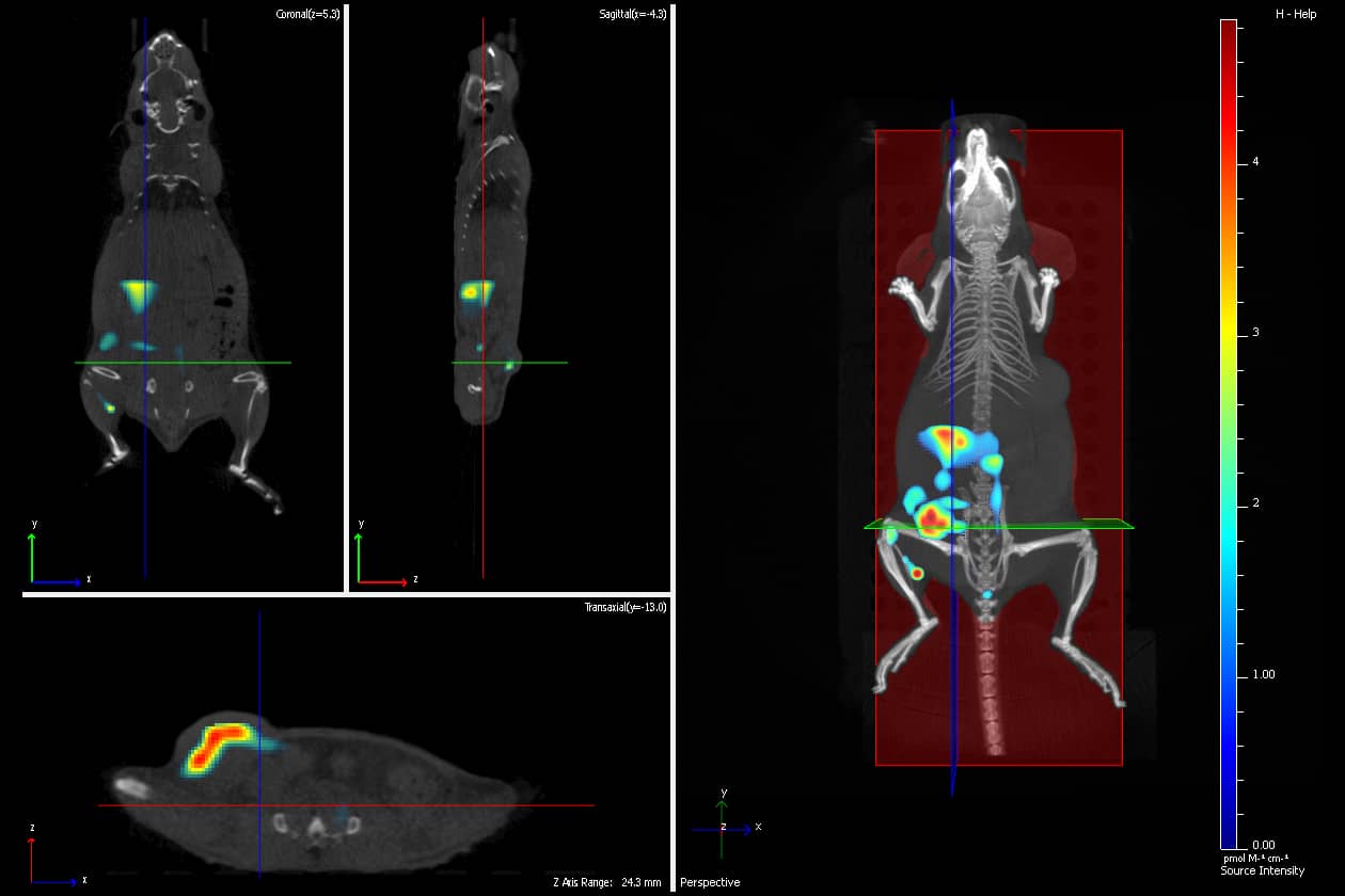 <hr>Biodistribution 3D de l’ICG dans un modèle de tumeur mammaire. © ProImaging.