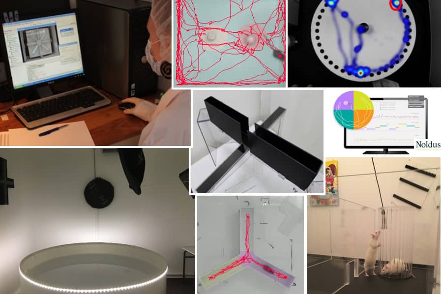 <hr>Système de vidéotracking Noldus.