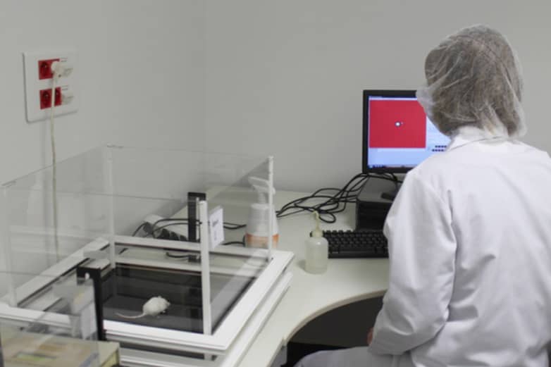 <hr>Test d’évaluation des capacités motrices.