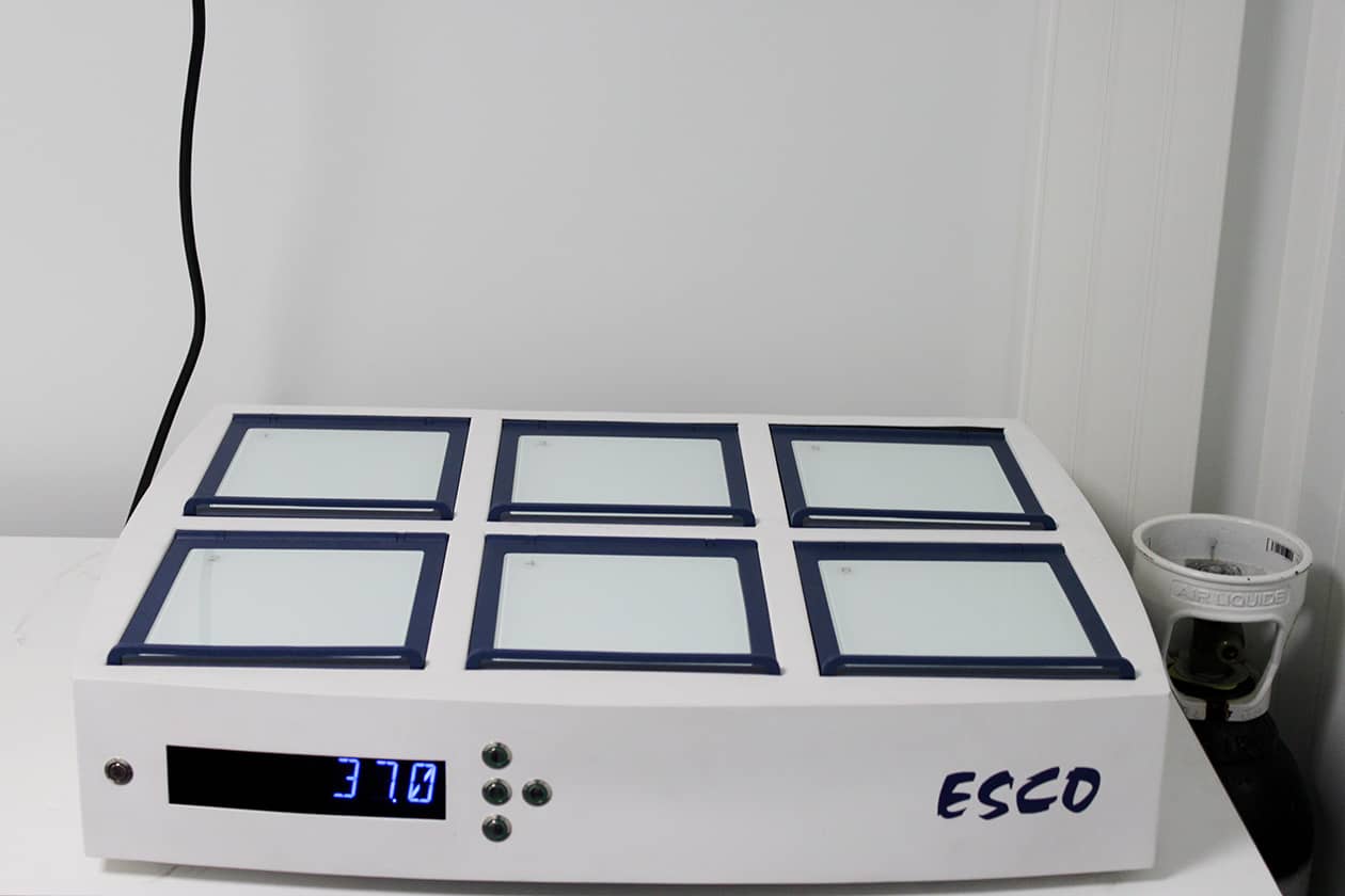 <hr>Incubateur pour embryons ESCO.