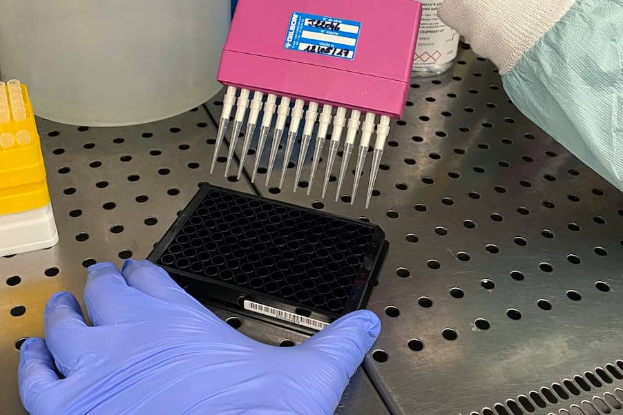 <hr>Utilisation de la technique MSD.