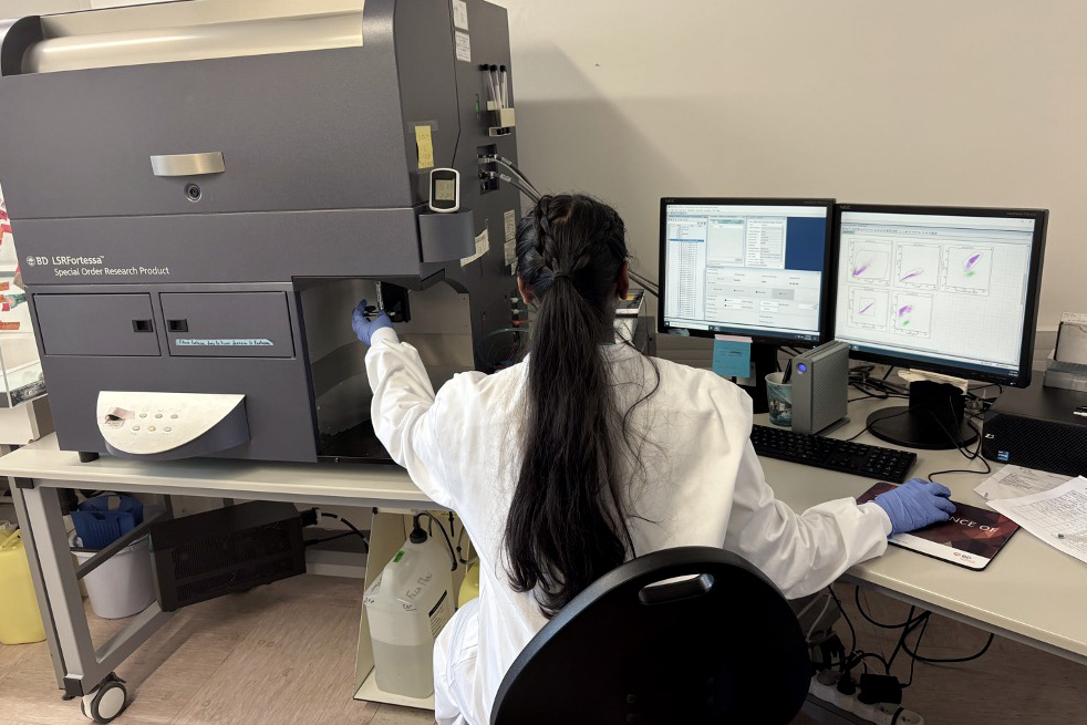<hr>Analyse d’échantillons à l’aide du BD Fortessa, un cytomètre conventionnel avec 5 lasers et 18 paramètres.