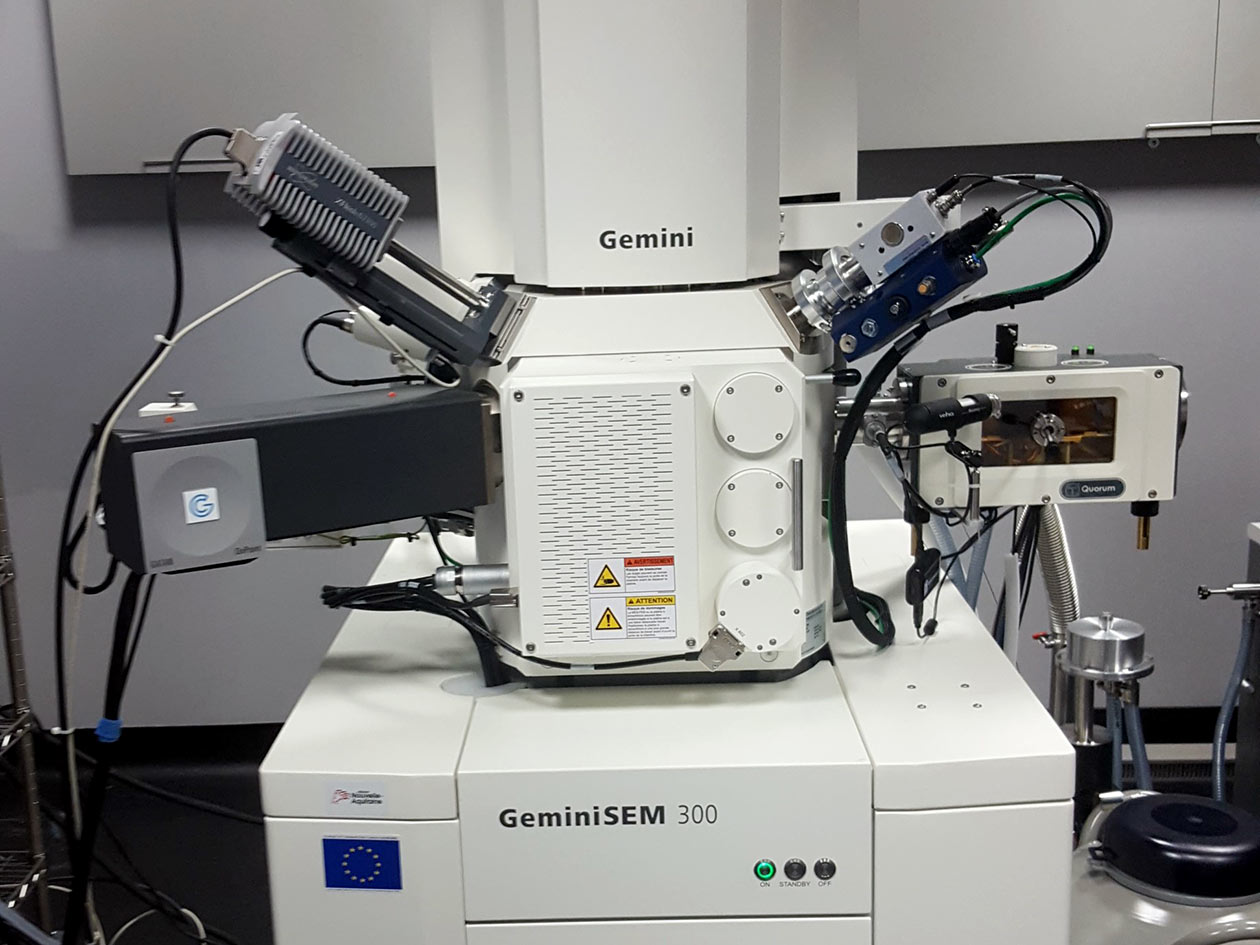 <hr>Microscope électronique à balayage GeminiSEM300 (Zeiss).