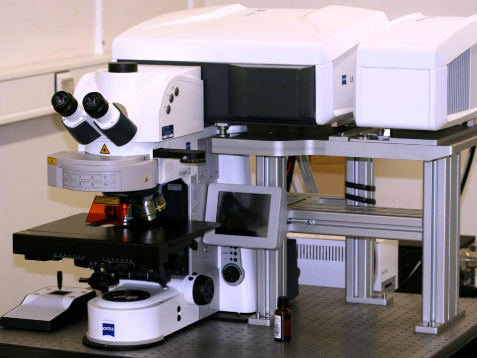 <hr>Microscope confocal LSM 880 (Zeiss).
