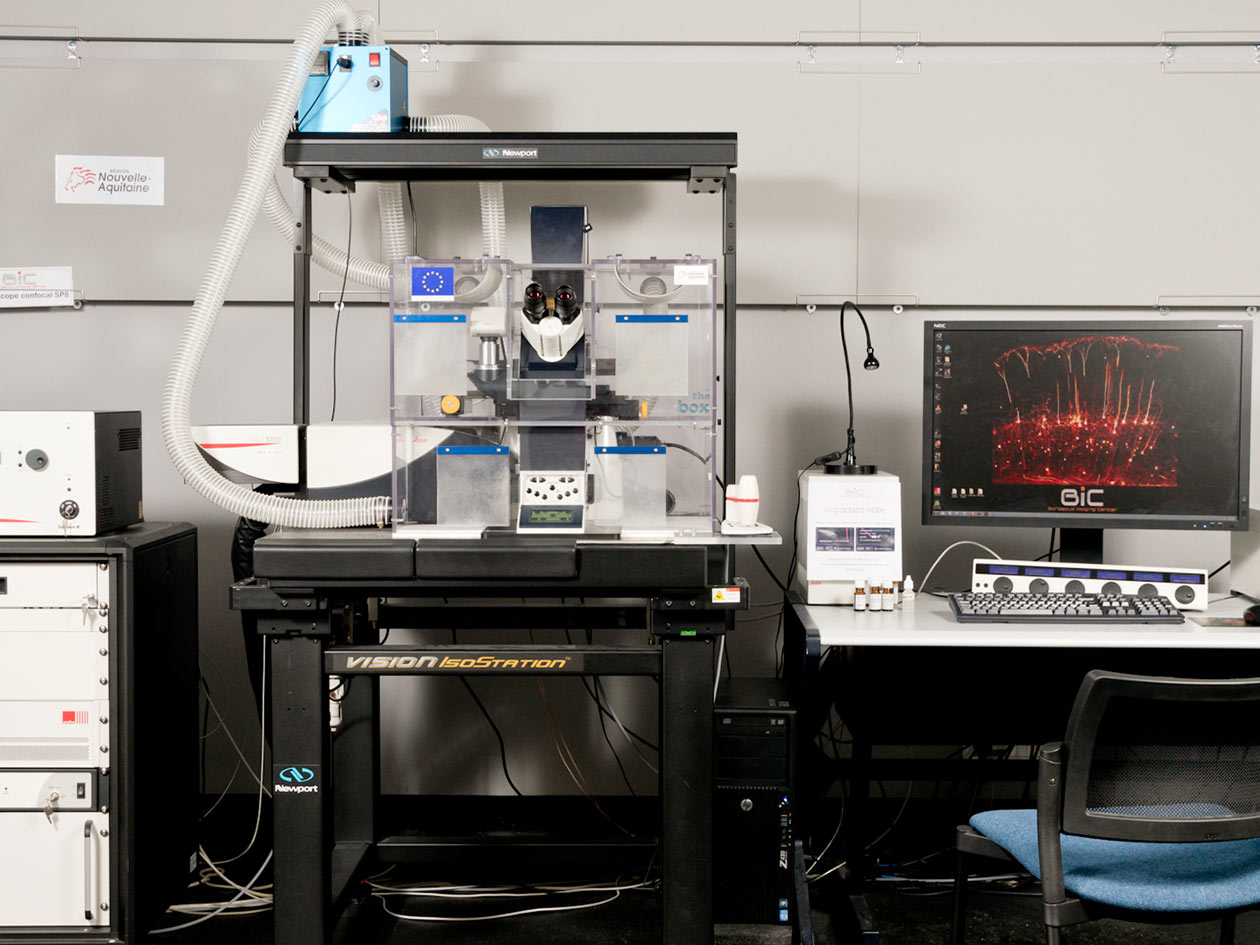 <hr>Microscopie confocale à ultra-haute résolution par STED.