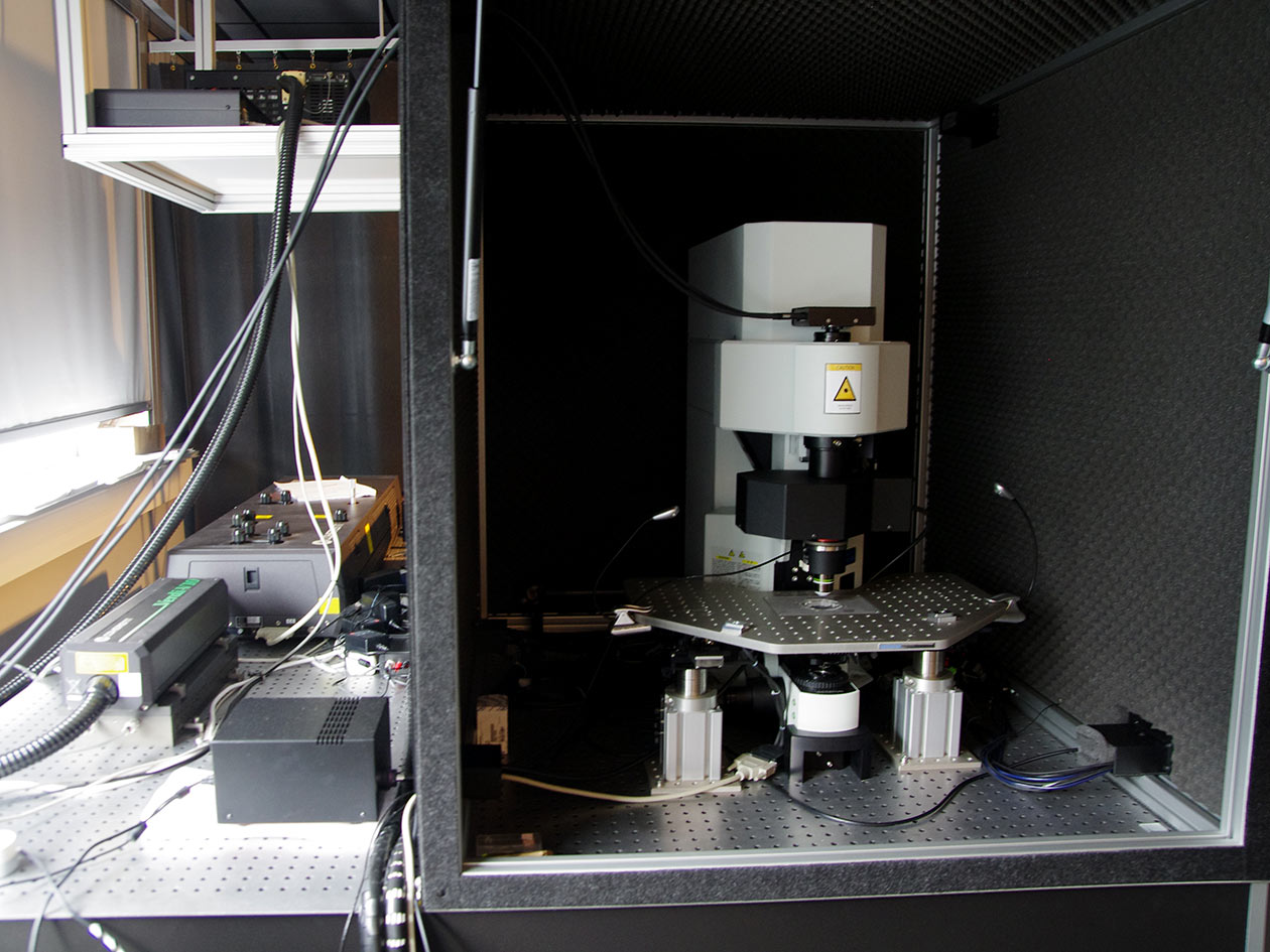 <hr>Microscope biphoton in vivo Femtonics.