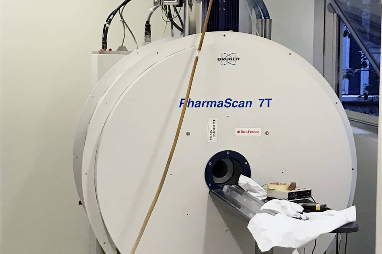 <hr>PharmaScan 7T Bruker équipé d’un dispositif d’élastographie.
