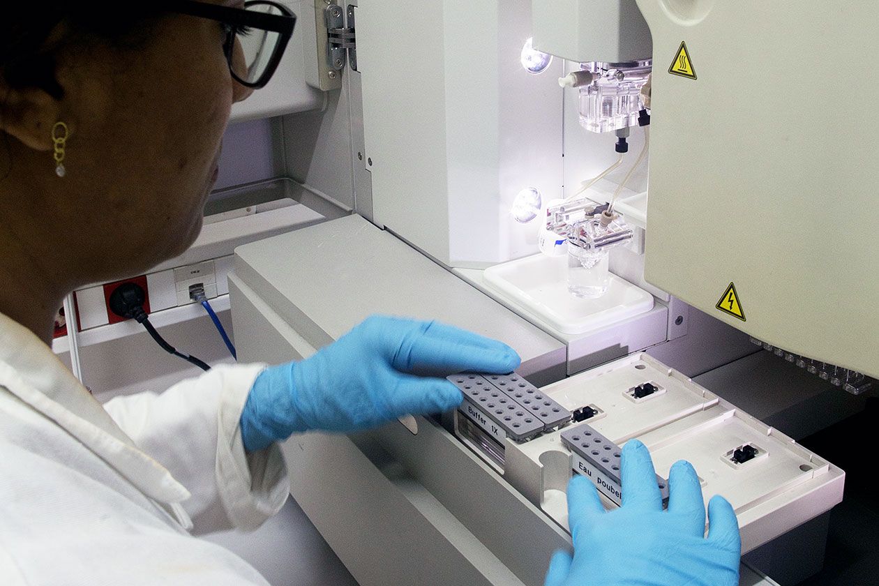 <hr>Maintenance du séquenceur 16 capillaires Applied Biosystems 3130XL de la plateforme. © F. Huitorel.