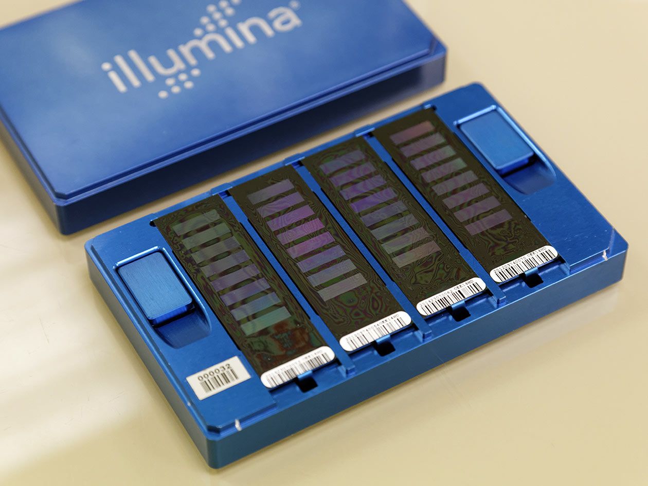 <hr>Puces Illumina prêtes à être scannées.