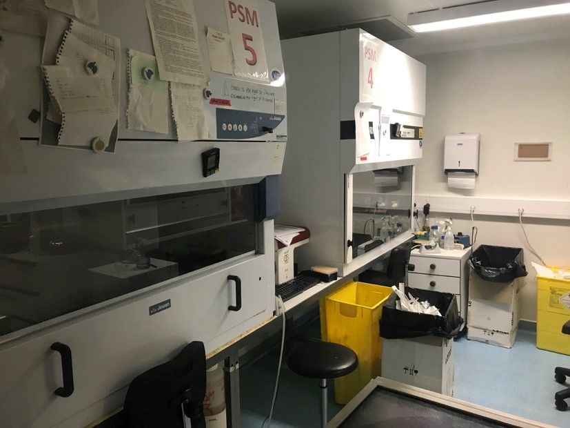 <hr>Laboratoire de culture cellulaire de niveau L2 utilisé par la plateforme.