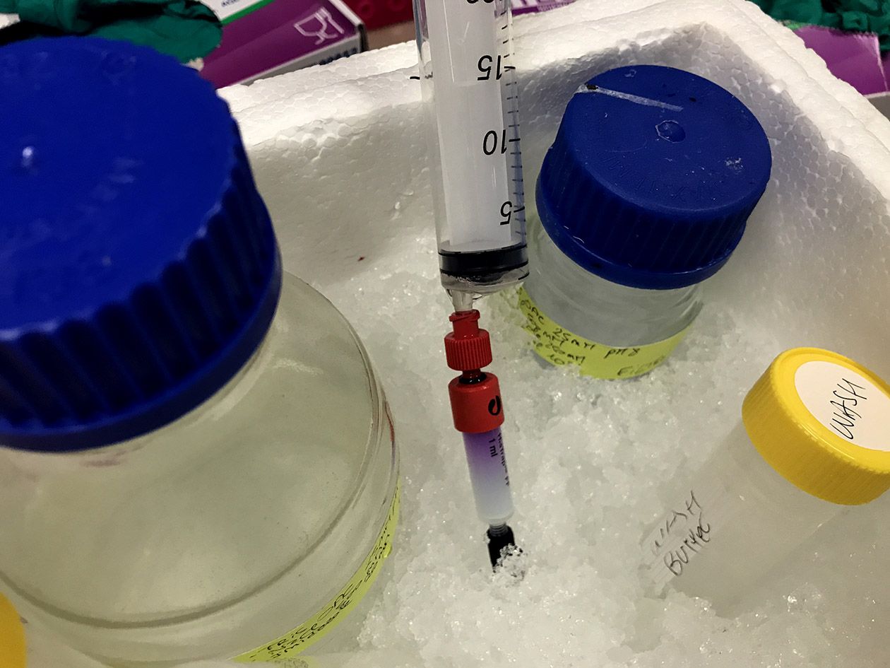 <hr>Chargement de la protéine Cas9-mCherry sur une colonne de nickel (HisTRAP FF crude) lors de la première étape de purification.
